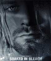 Soaked in Bleach /  